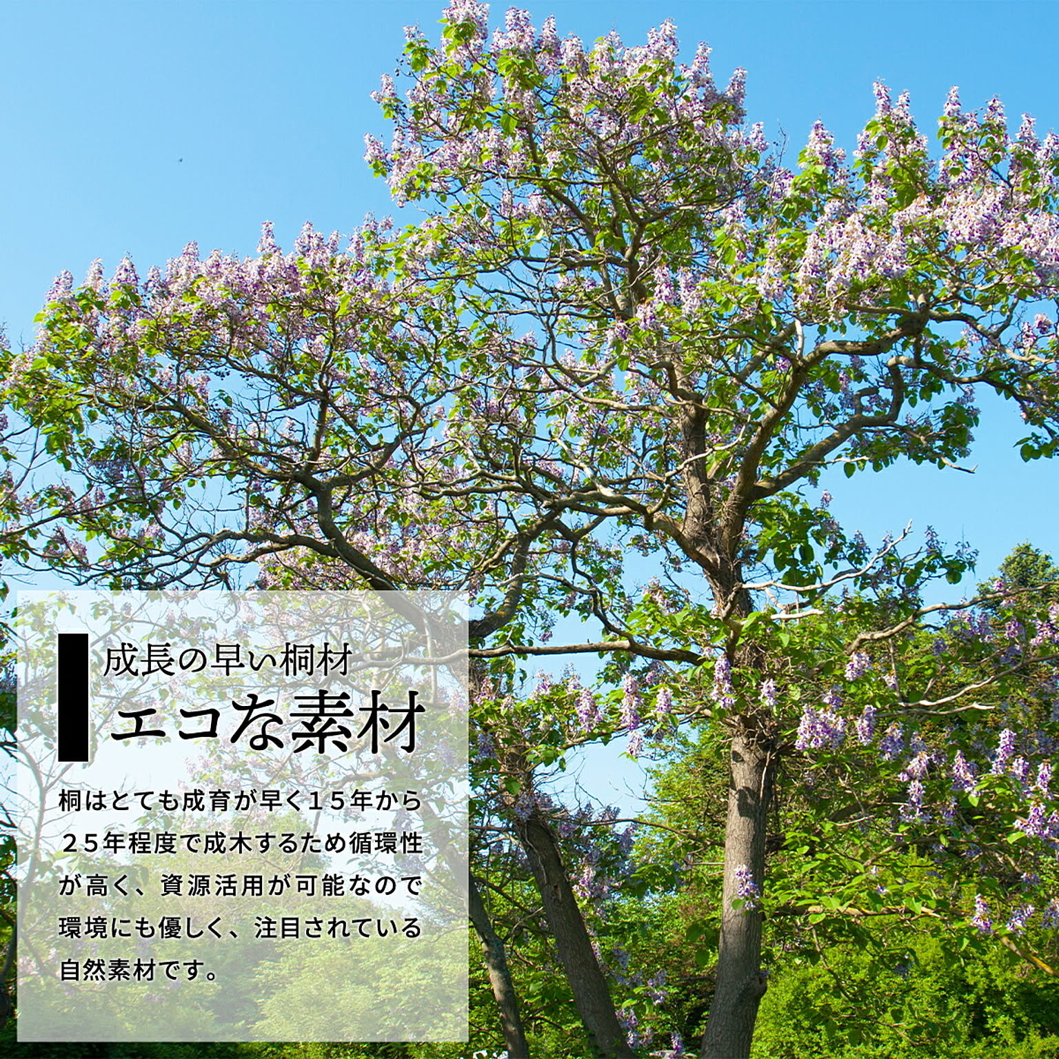 米びつ