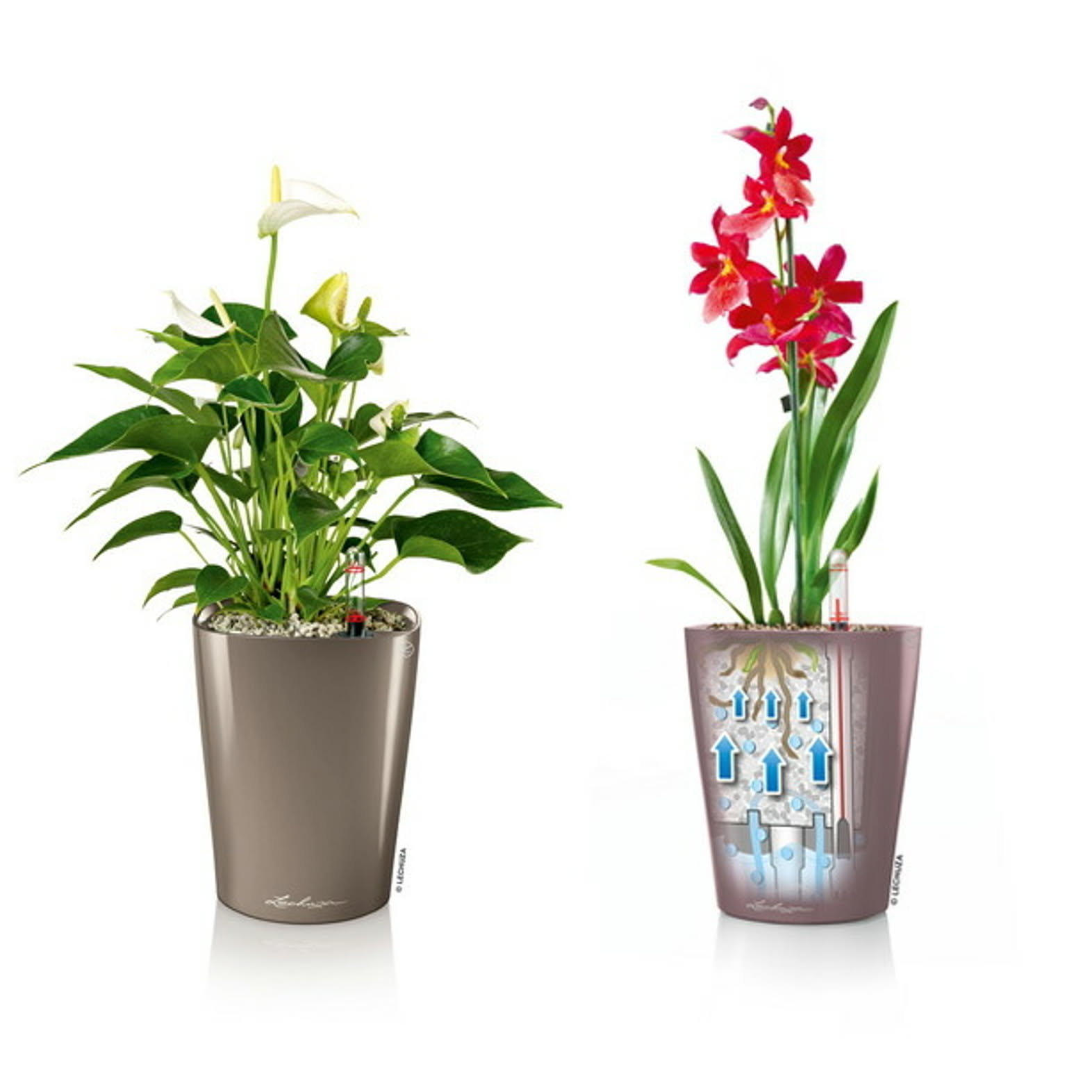 プランター・植木鉢