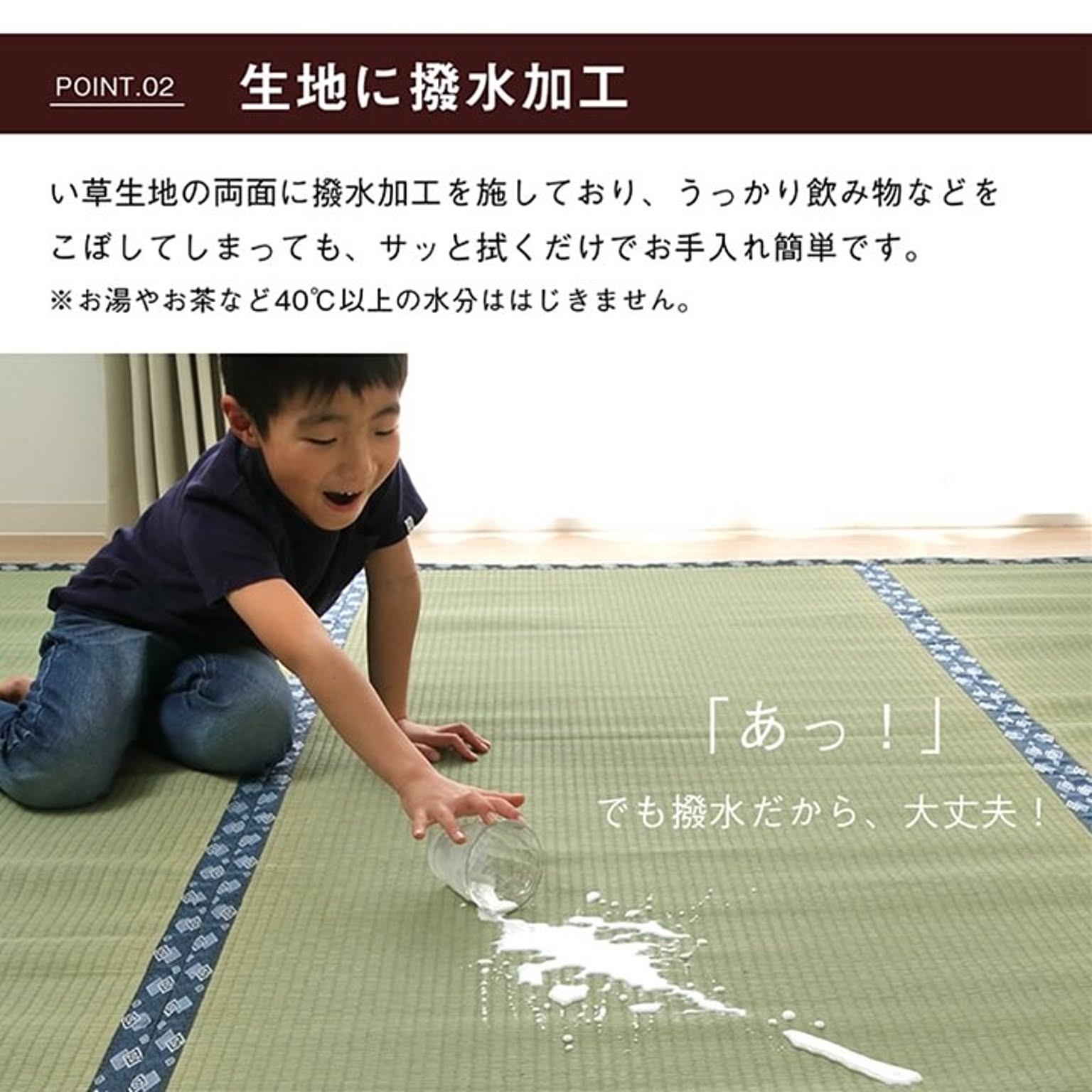 ござ・い草ラグ