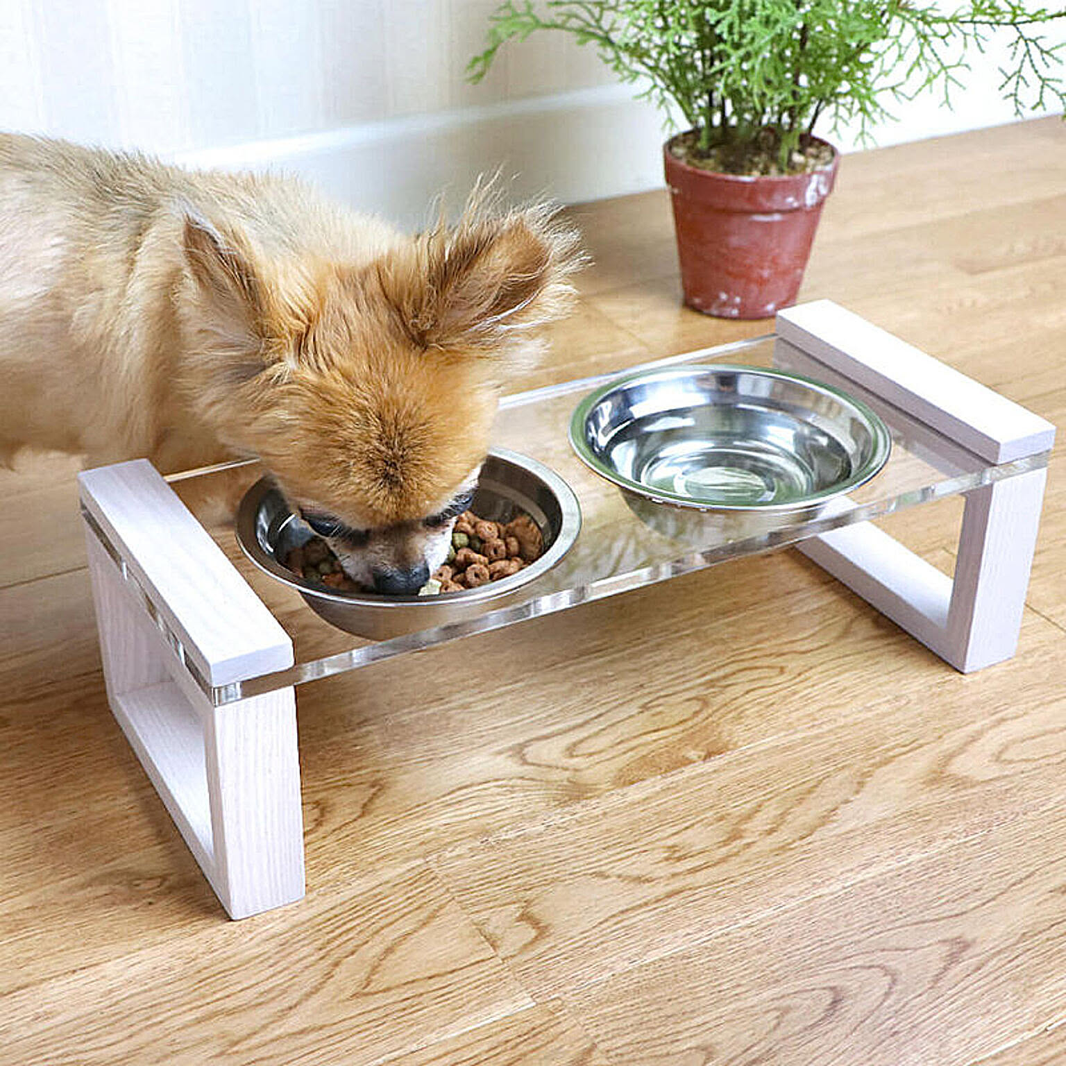犬用インテリア・犬用家具