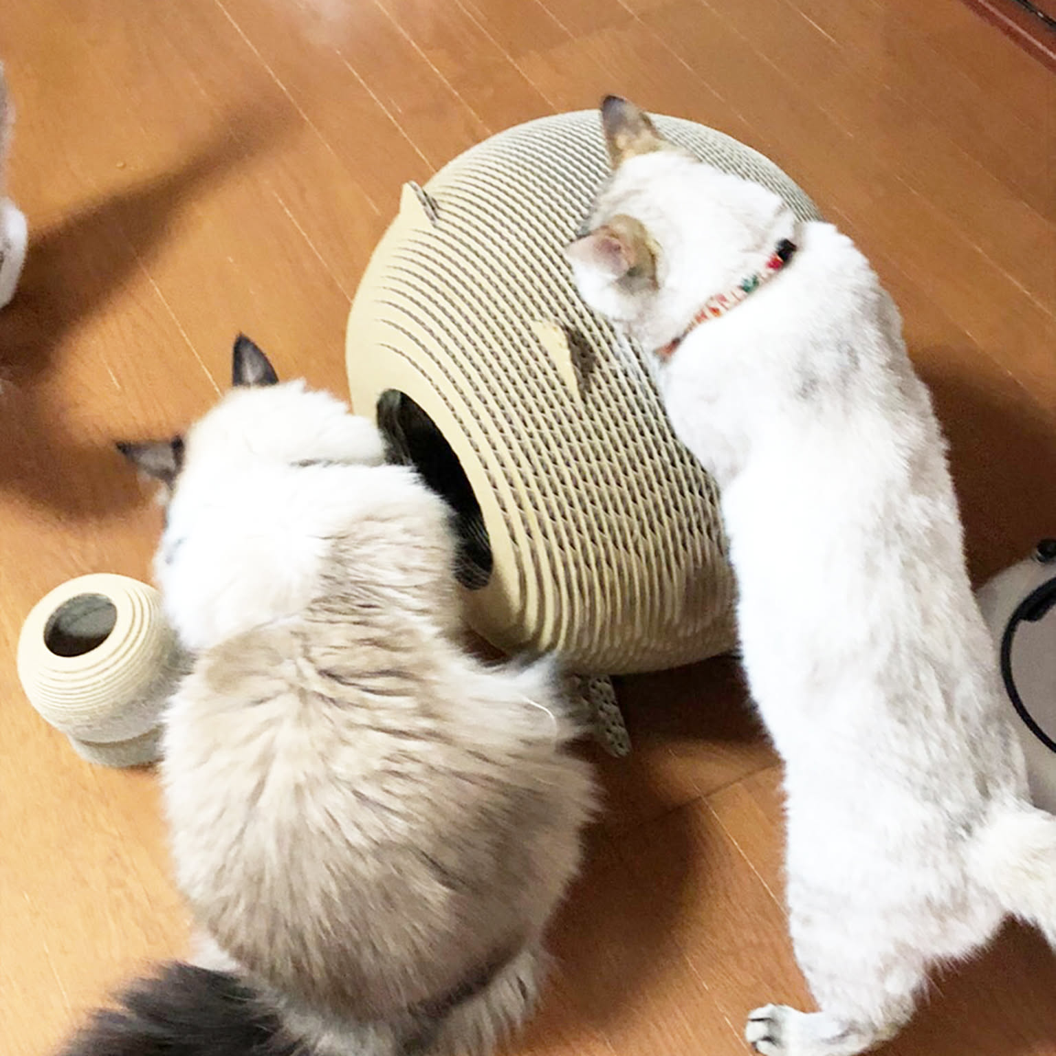猫用インテリア・猫用家具