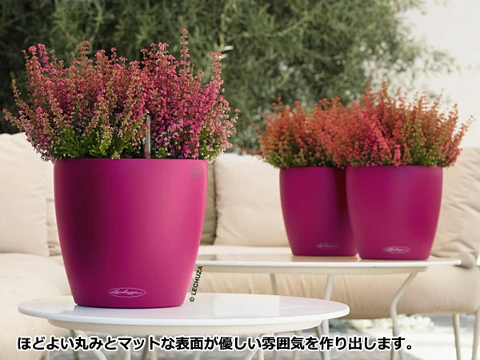 プランター・植木鉢