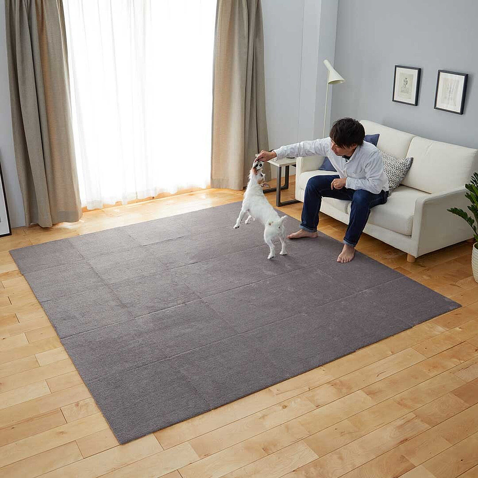 犬用インテリア・犬用家具