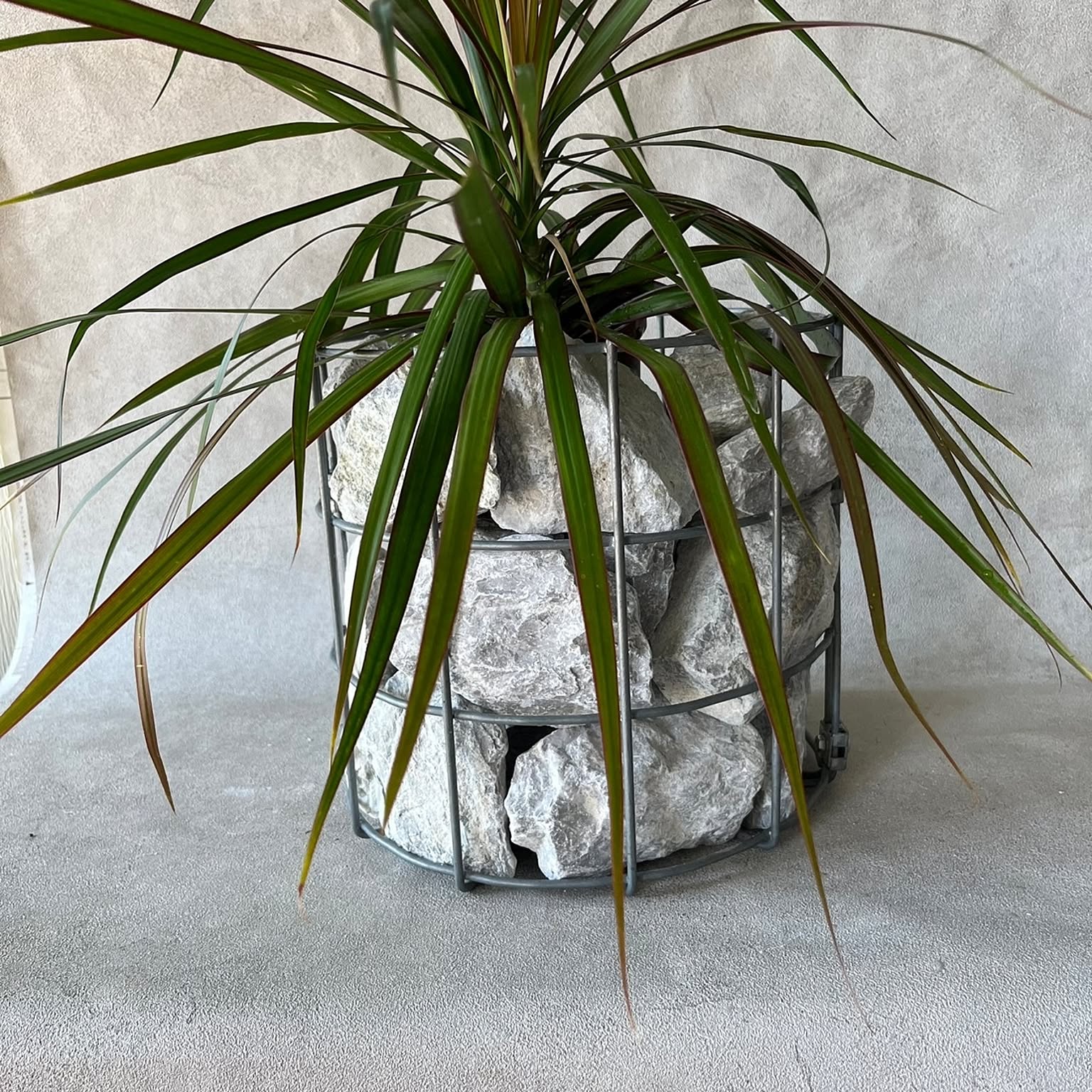 プランター・植木鉢