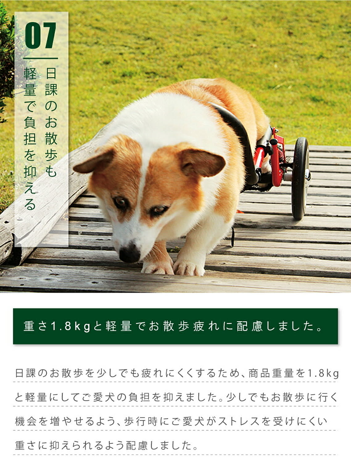 犬用インテリア・犬用家具