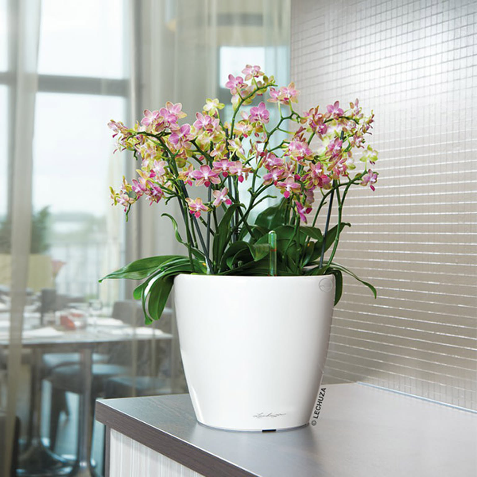 プランター・植木鉢