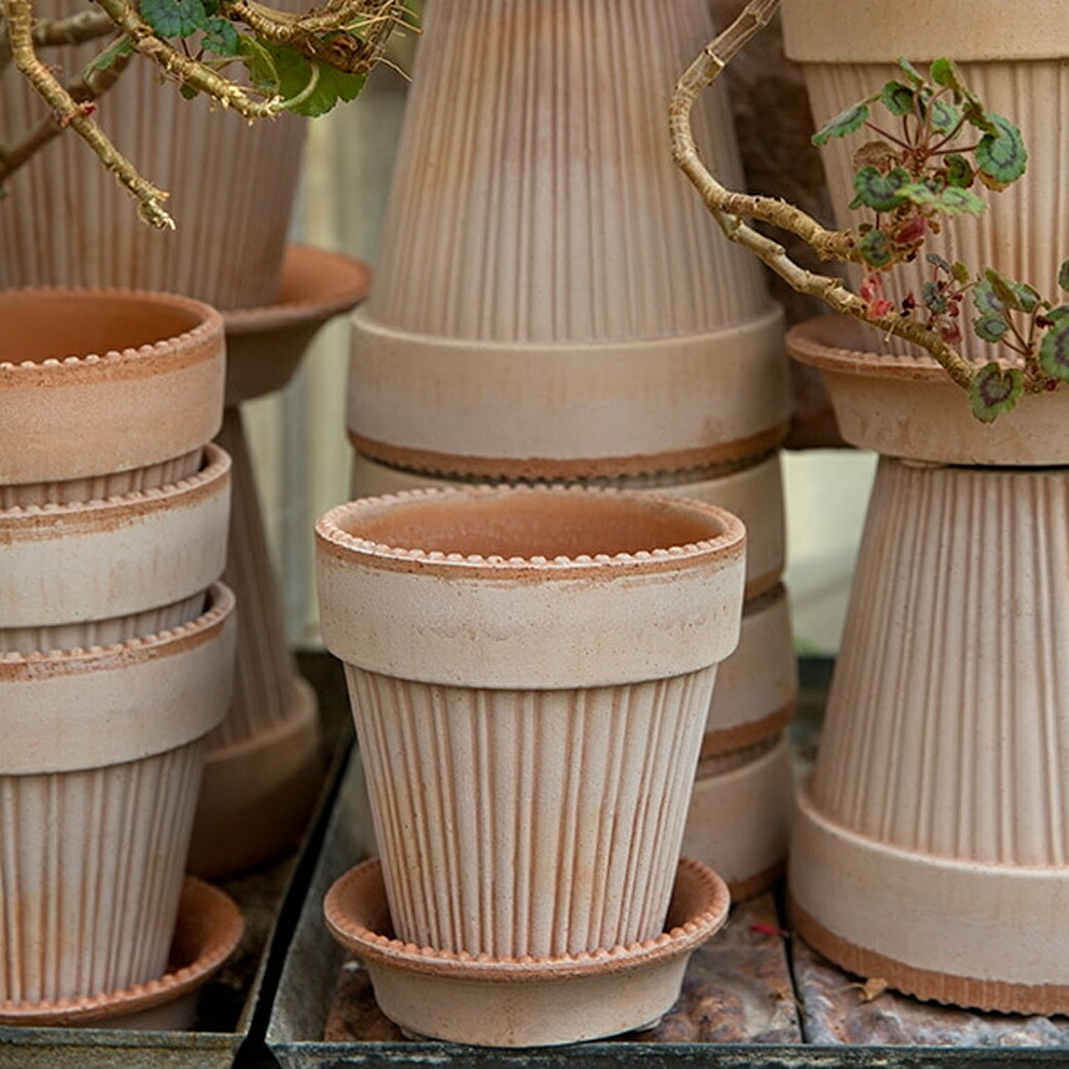プランター・植木鉢