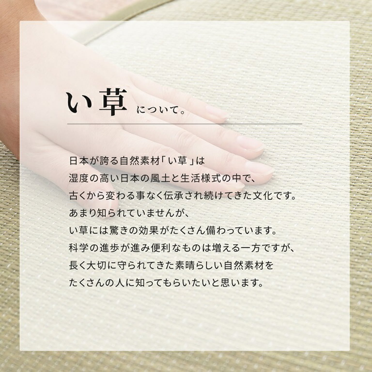 ござ・い草ラグ