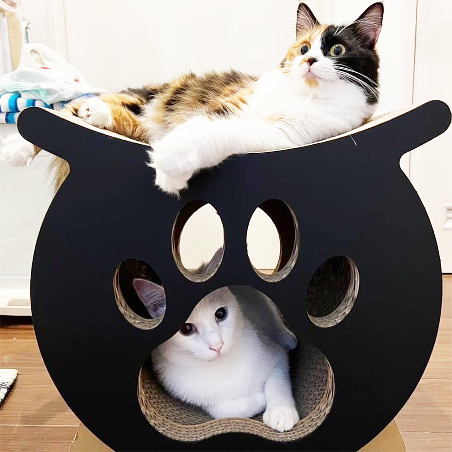 猫用インテリア・猫用家具