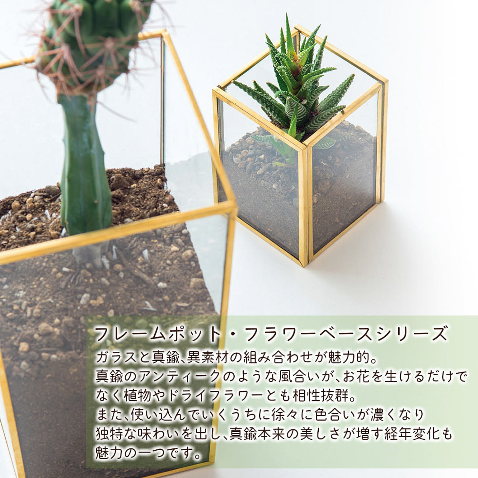 プランター・植木鉢