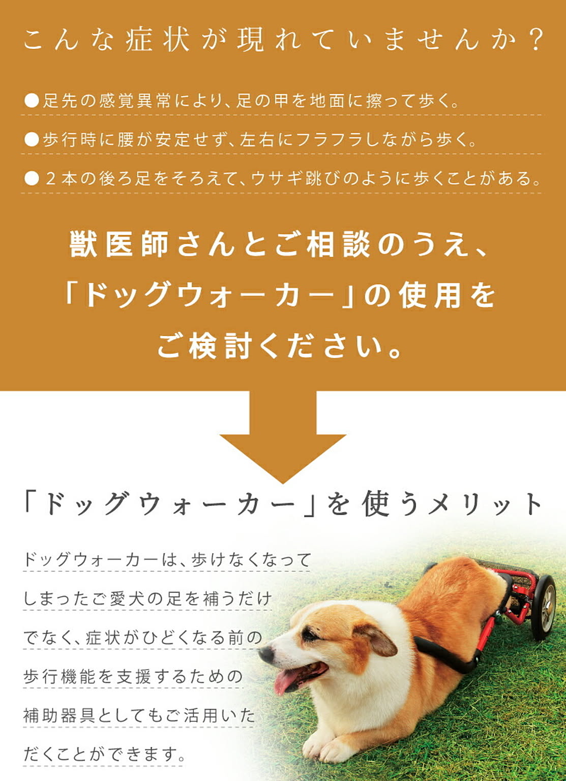 犬用インテリア・犬用家具