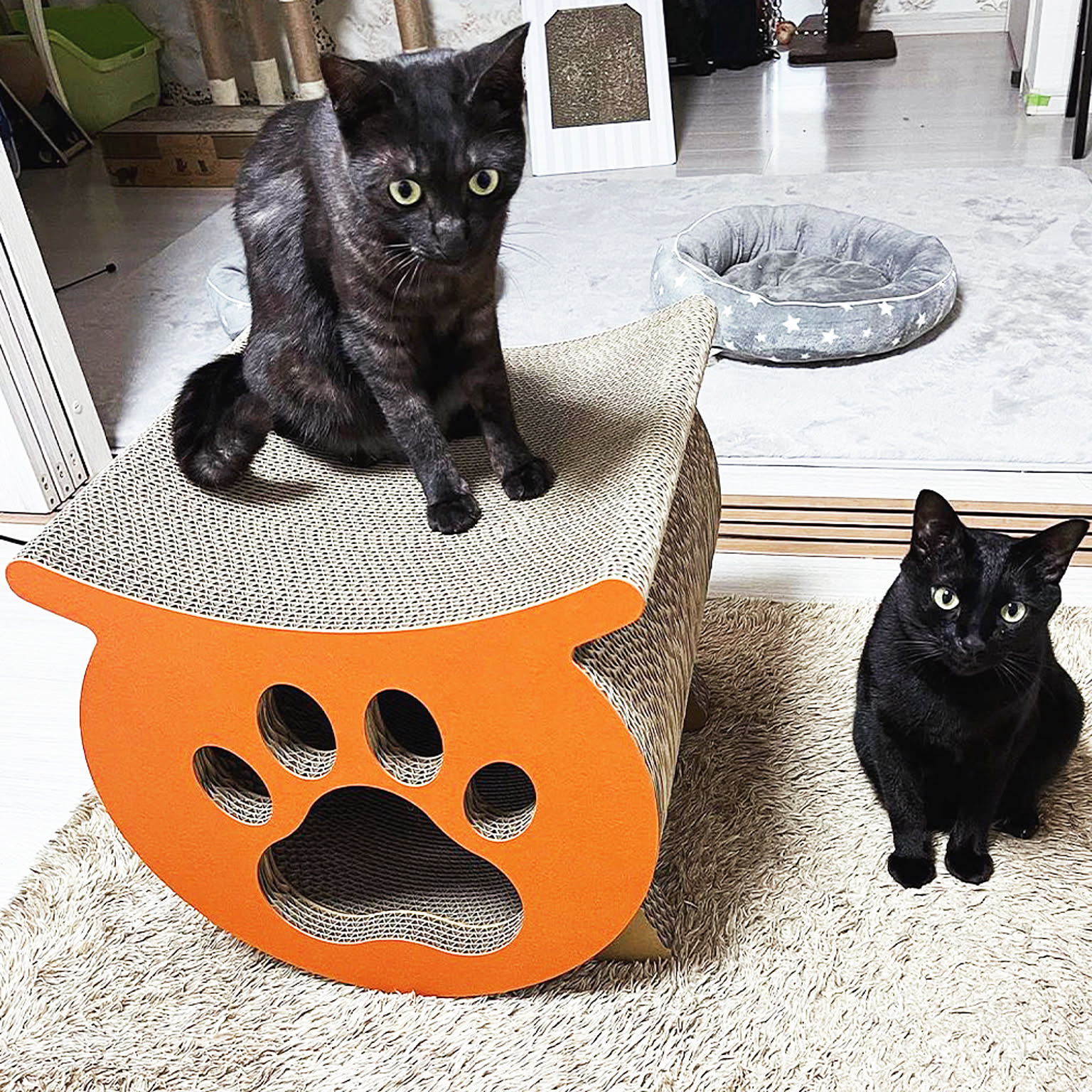 猫用インテリア・猫用家具