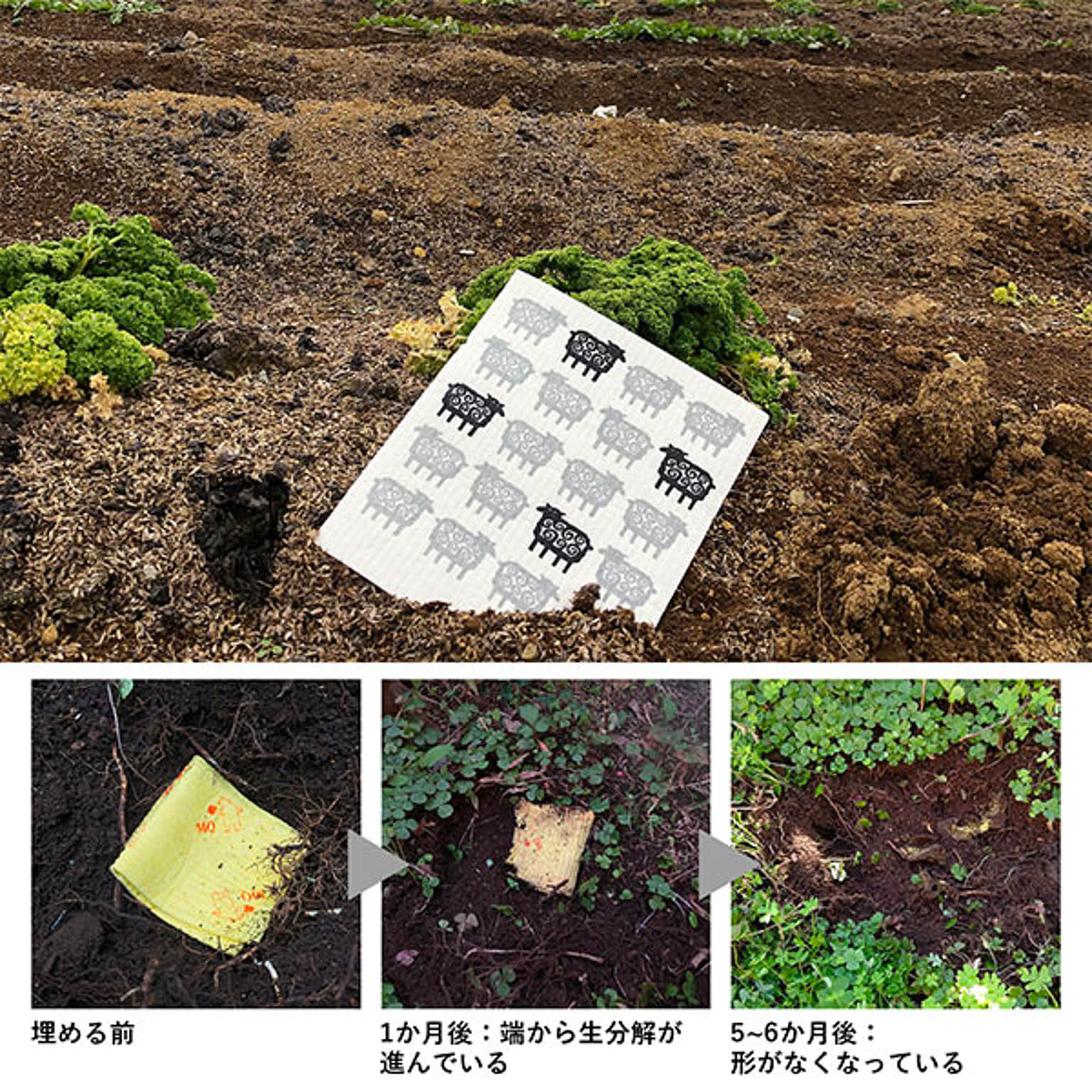 ふきん・ダスター