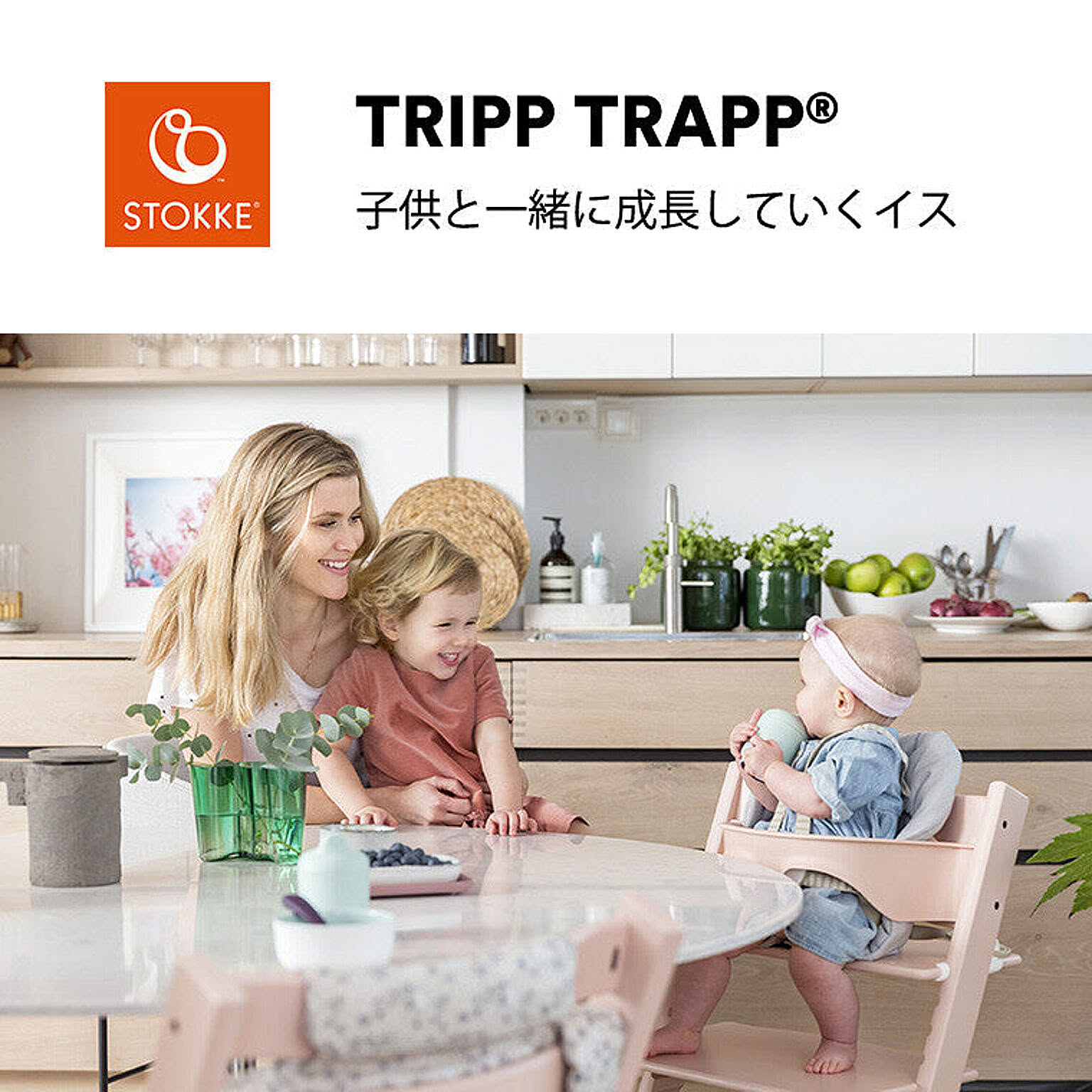 ダイニングチェア