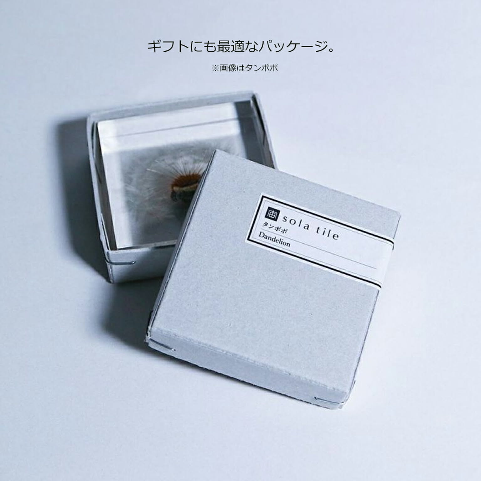 置物・オブジェ