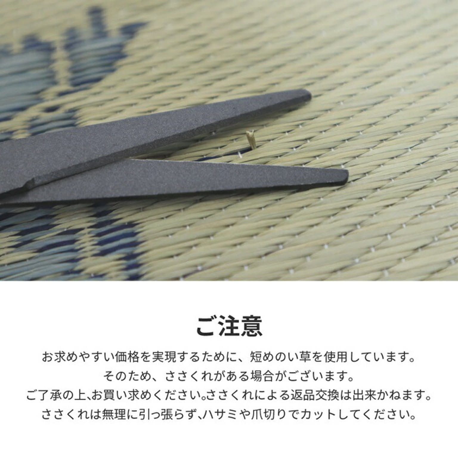 ござ・い草ラグ