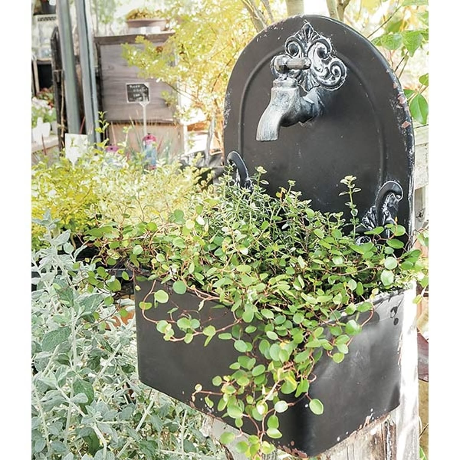 プランター・植木鉢