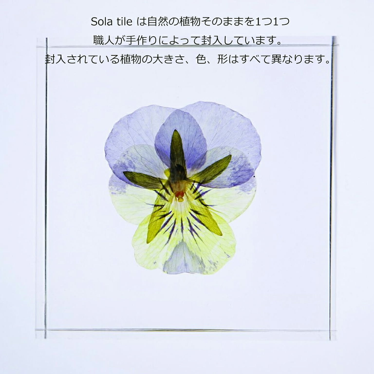 置物・オブジェ