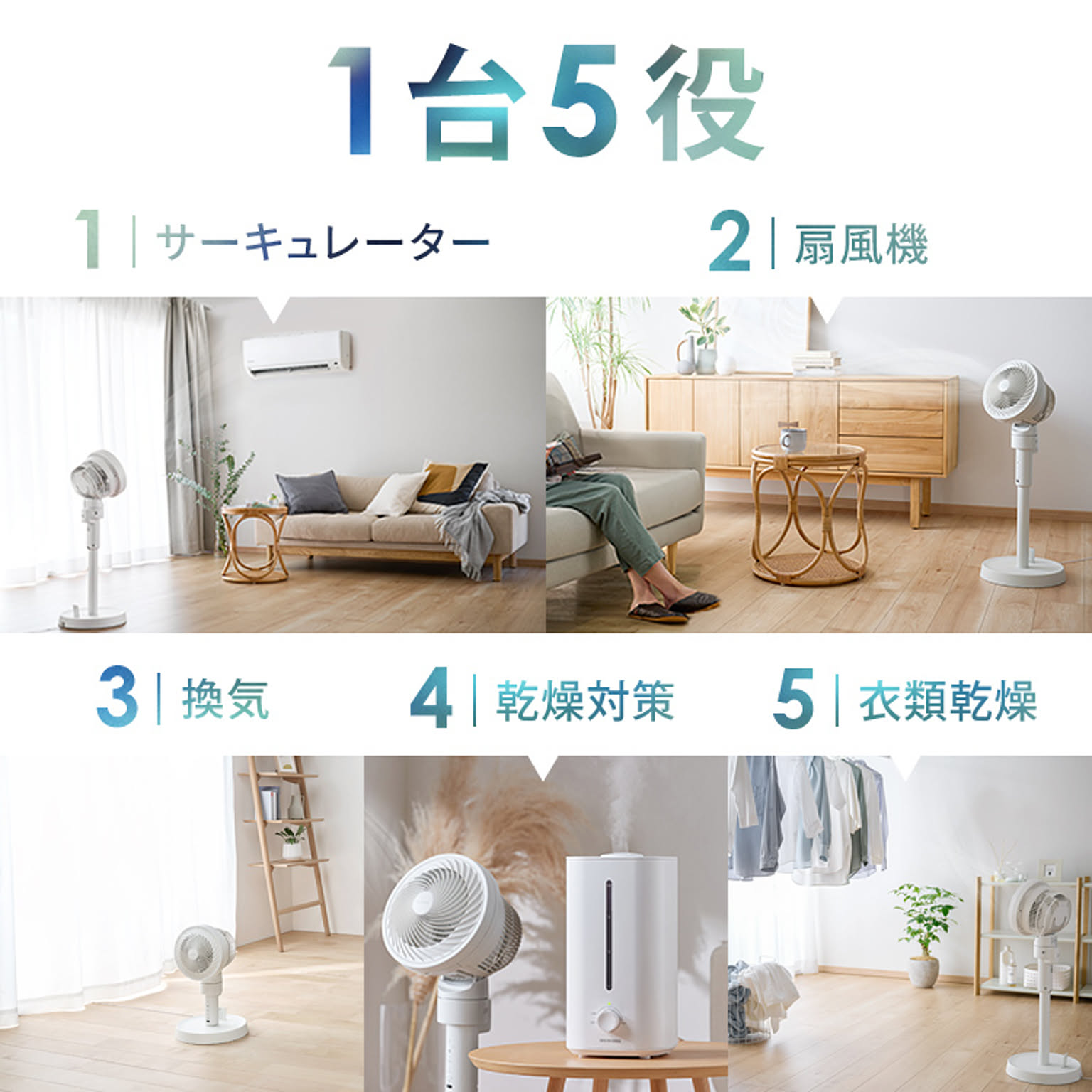 サーキュレーター