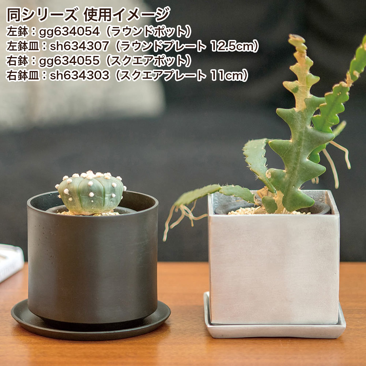 プランター・植木鉢