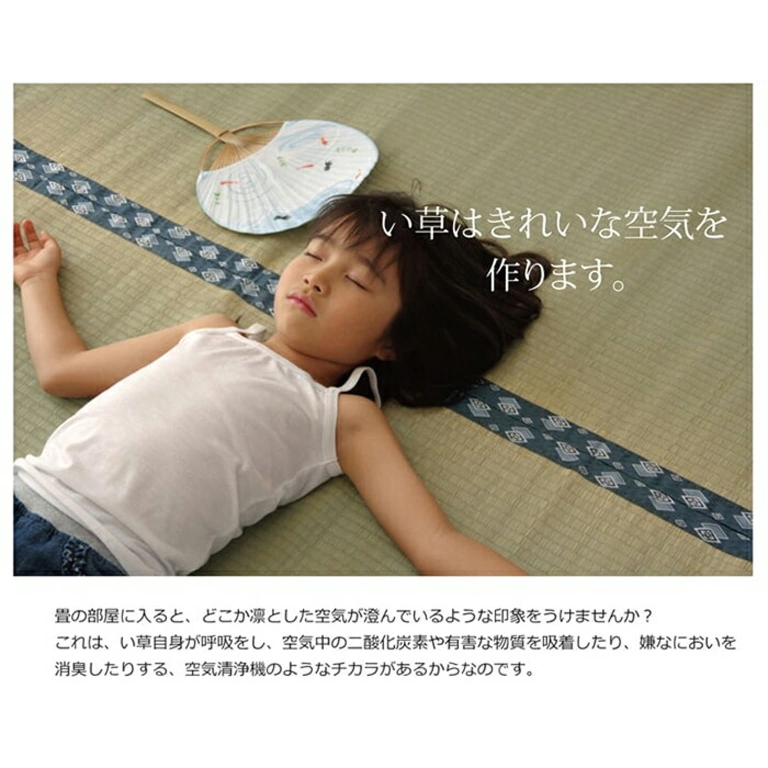 ござ・い草ラグ
