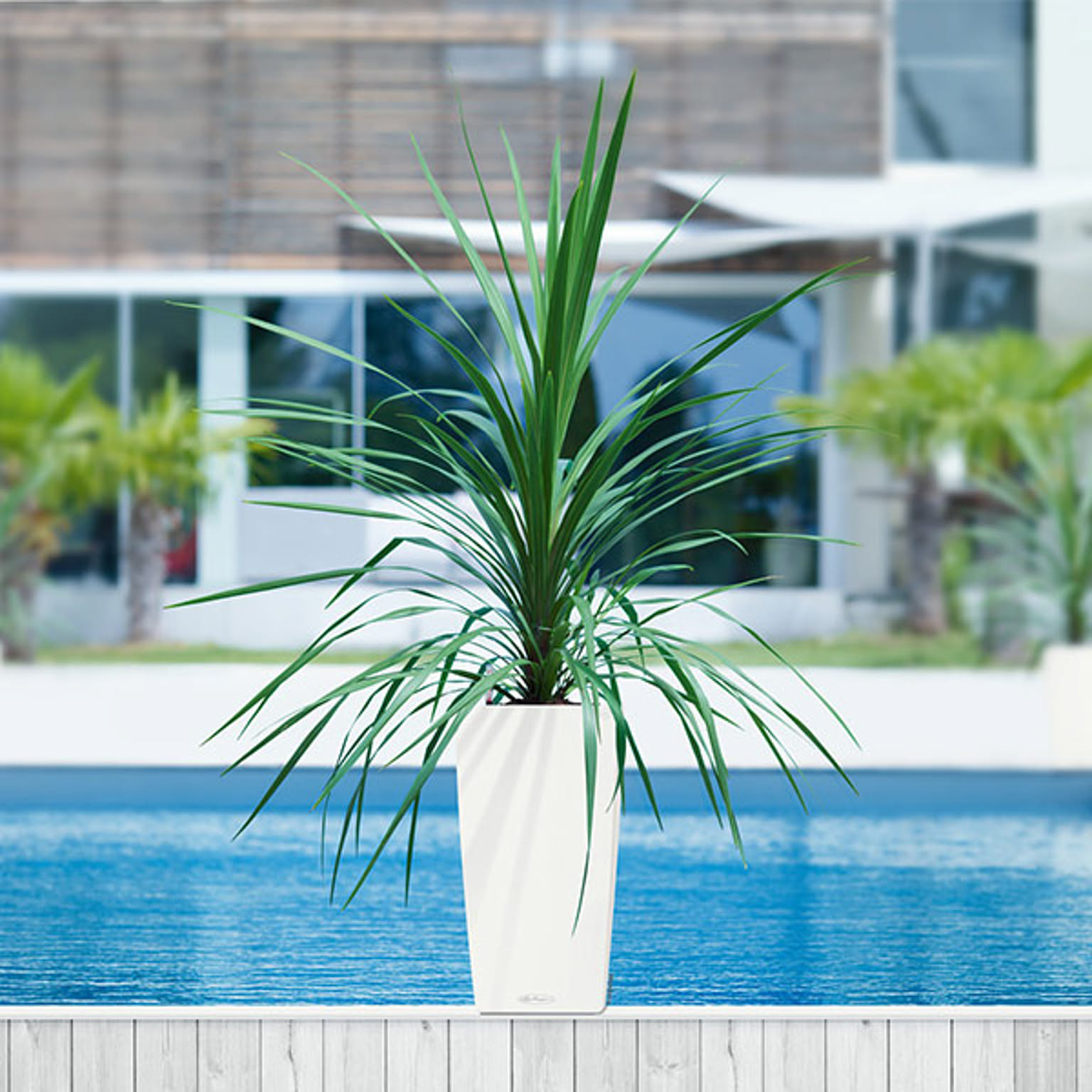 プランター・植木鉢