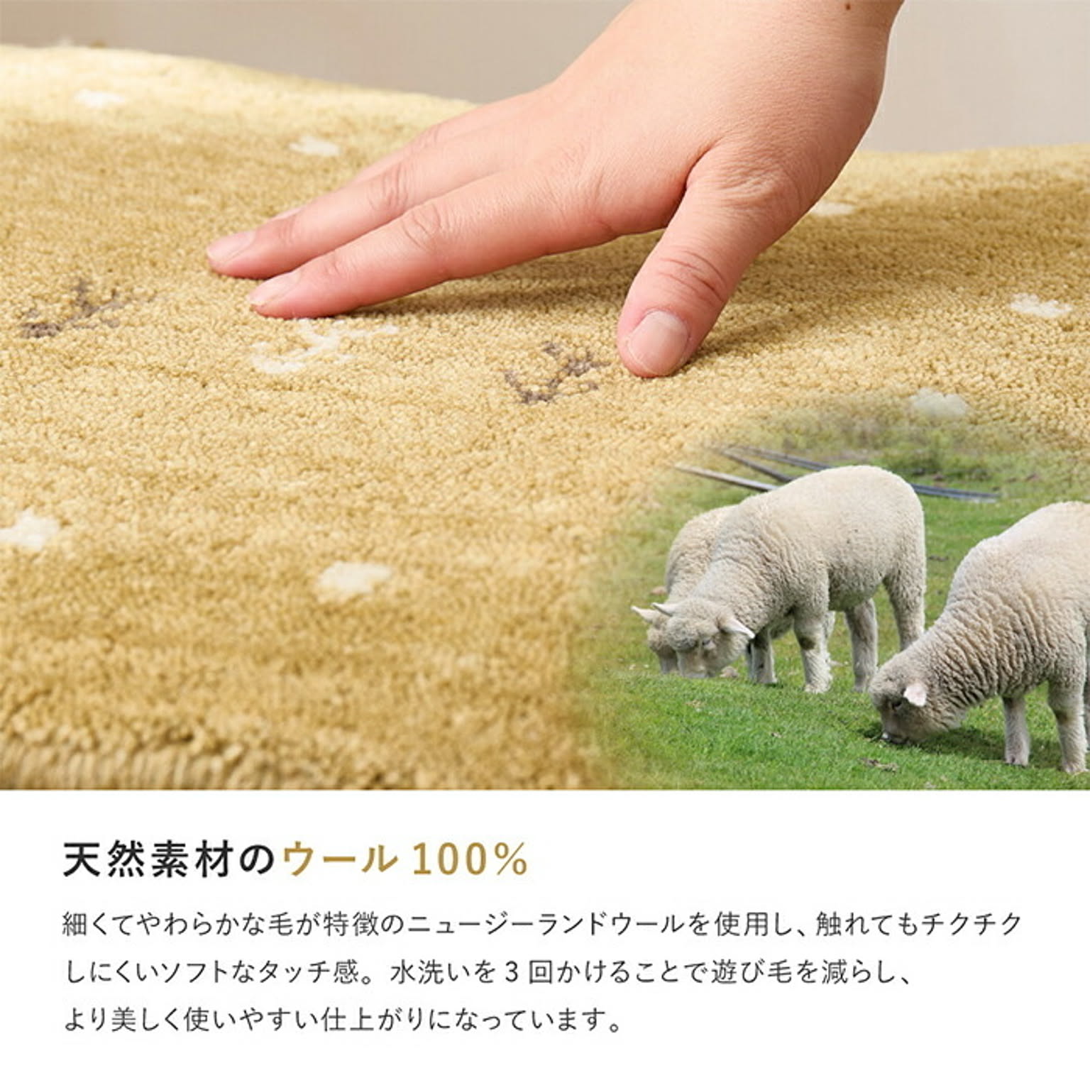 ラグ