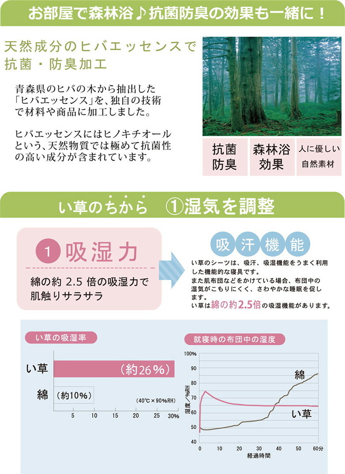 ござ・い草ラグ