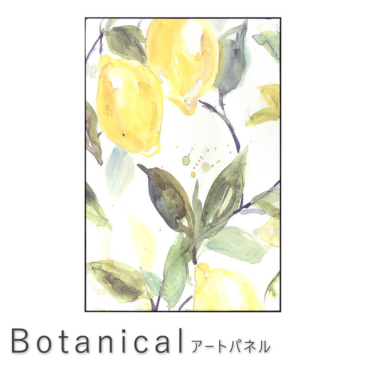 Ｂｏｔａｎｉｃａｌ（ボタニカル） アートパネル ６０×９０ｃｍ m12521