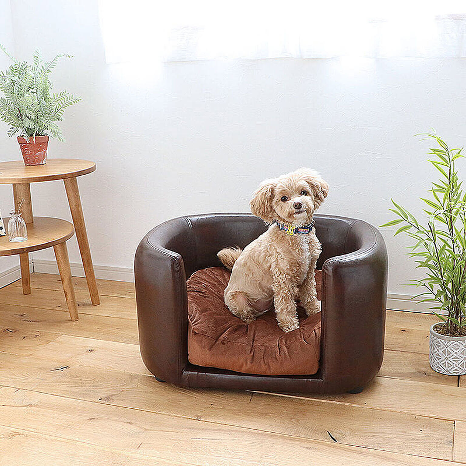 犬用インテリア・犬用家具