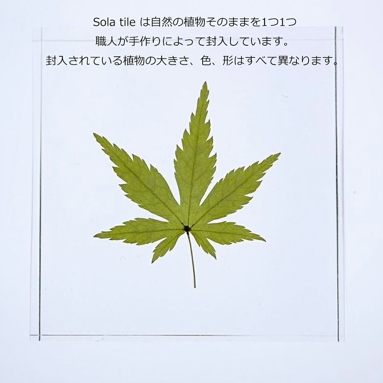 置物・オブジェ