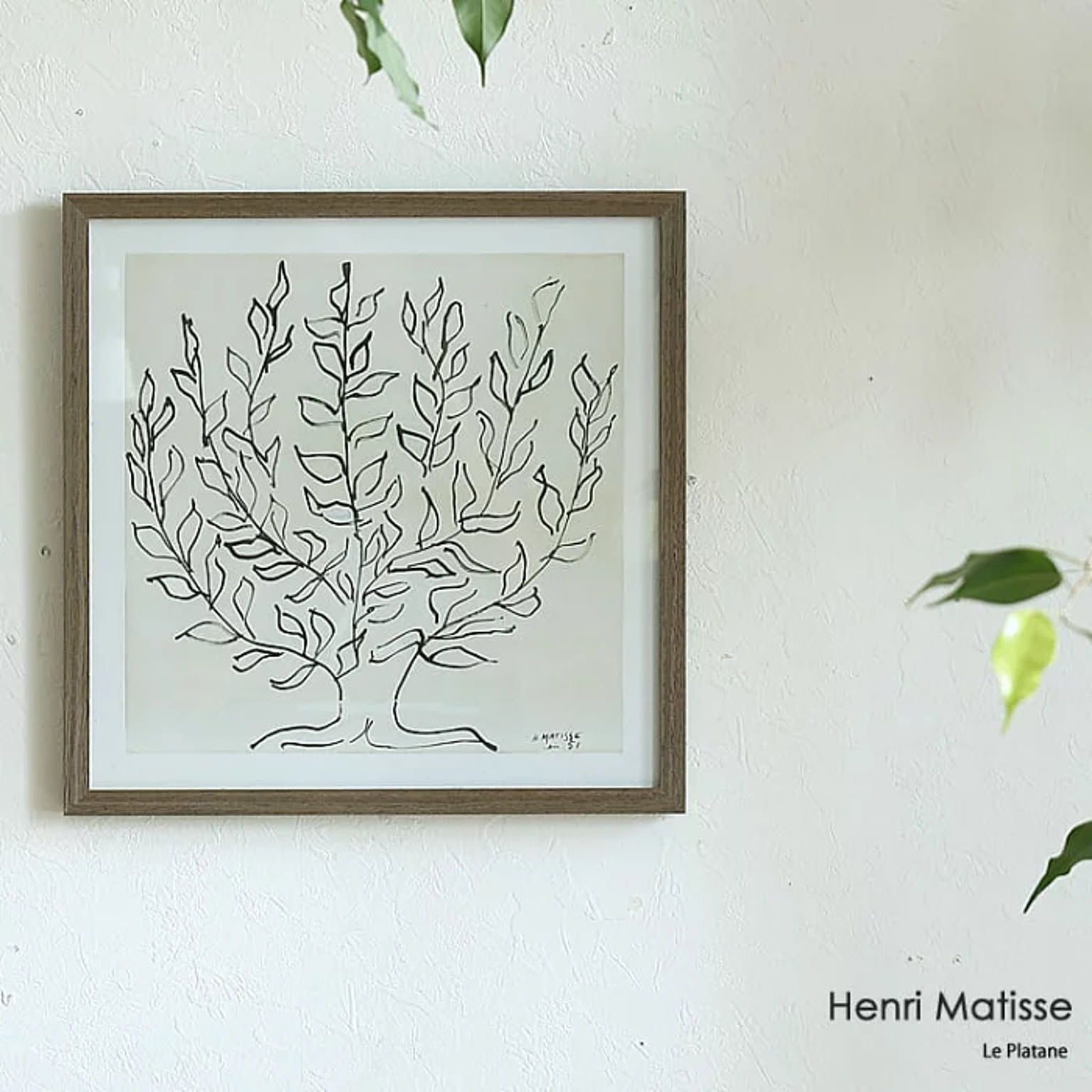 アートポスター　Henri Matisse「低木」
