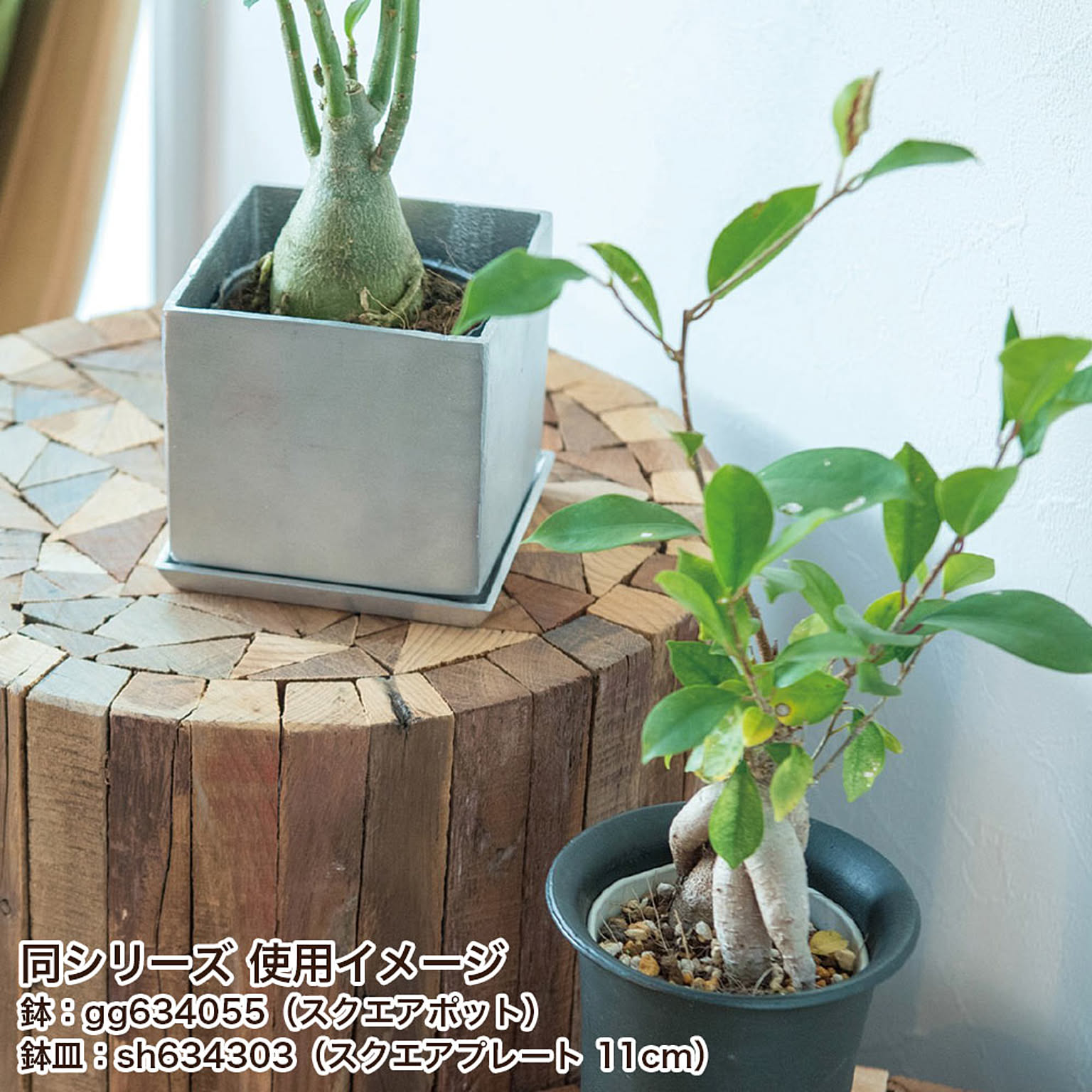 プランター・植木鉢
