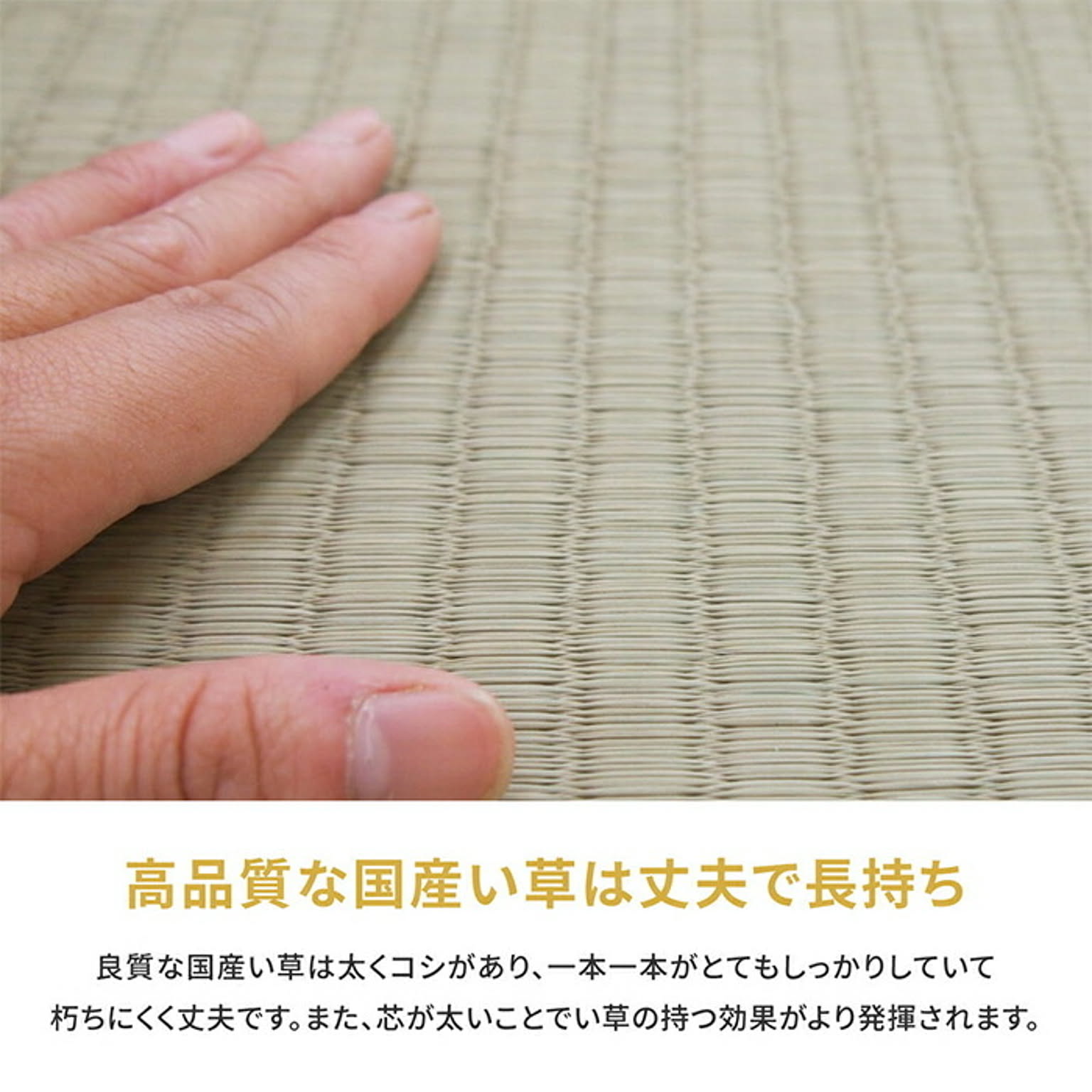 ござ・い草ラグ