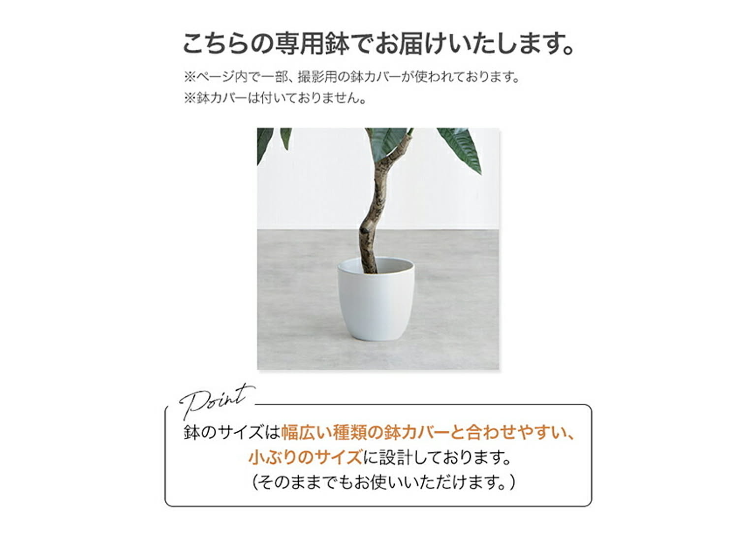 観葉植物