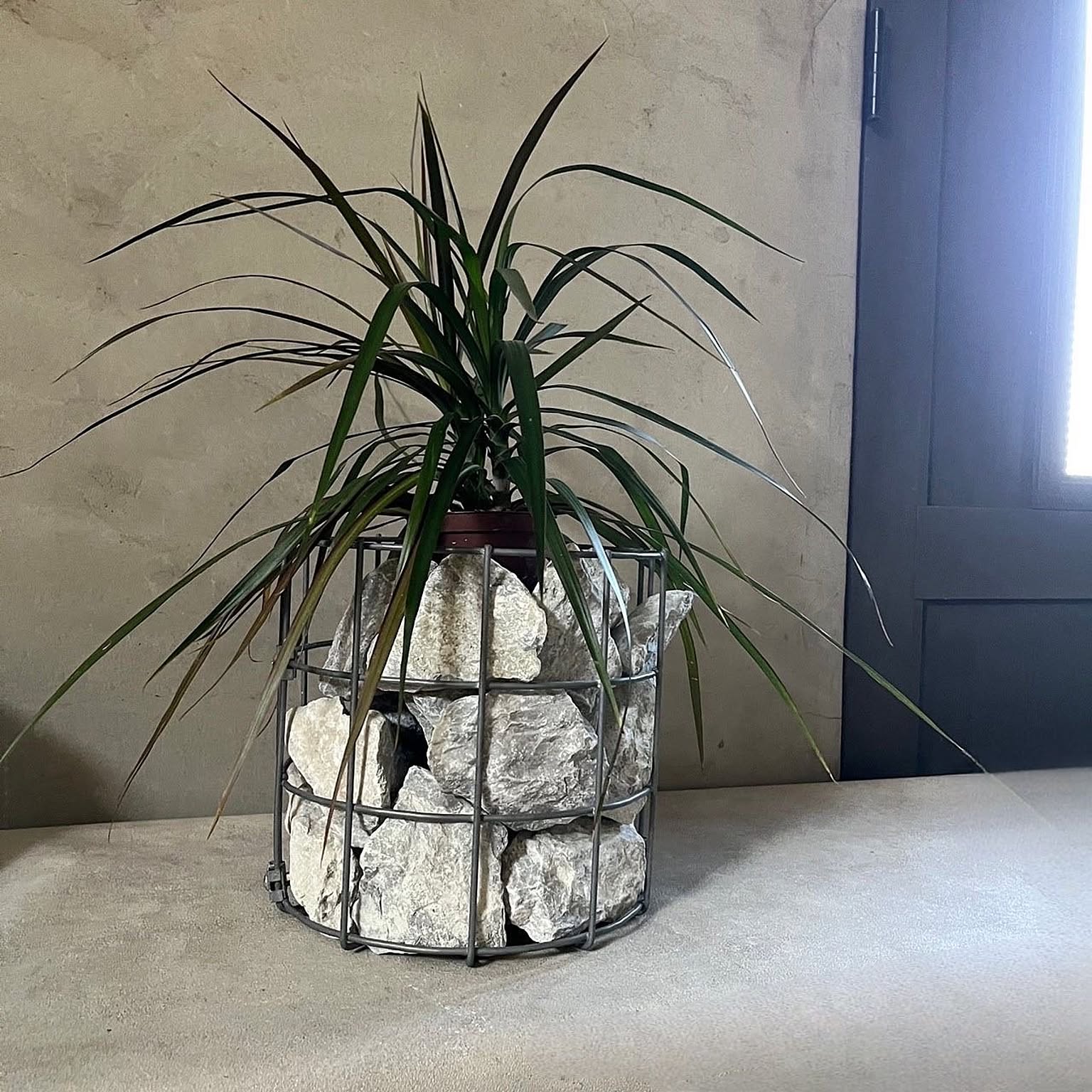 プランター・植木鉢