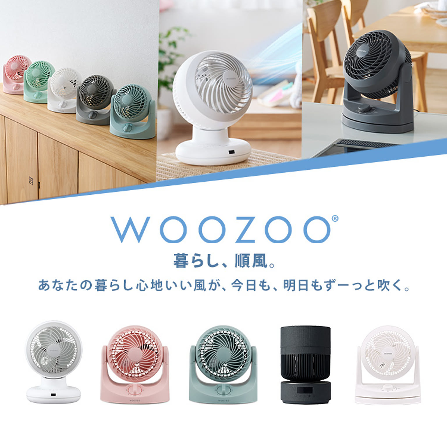 サーキュレーター