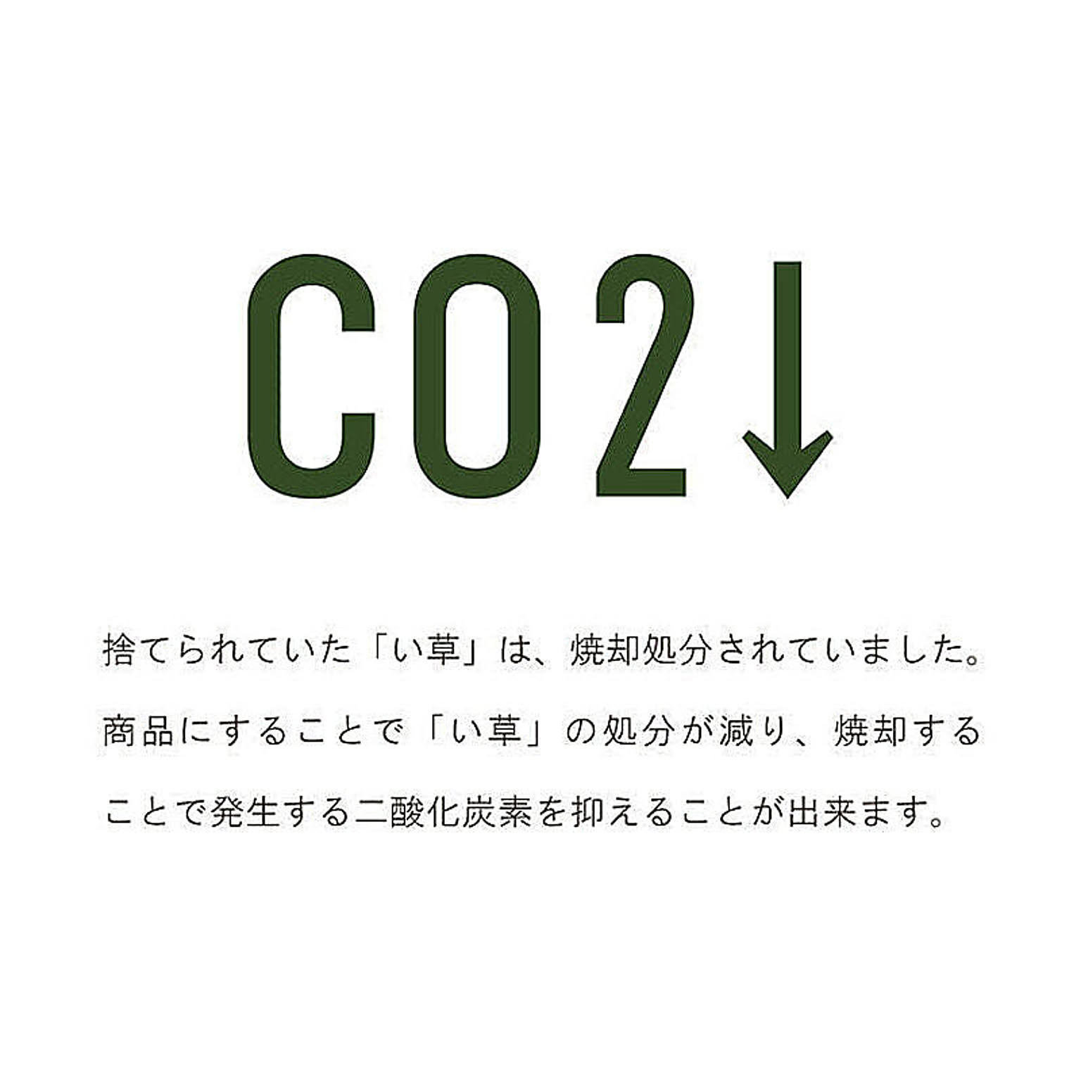 ござ・い草ラグ