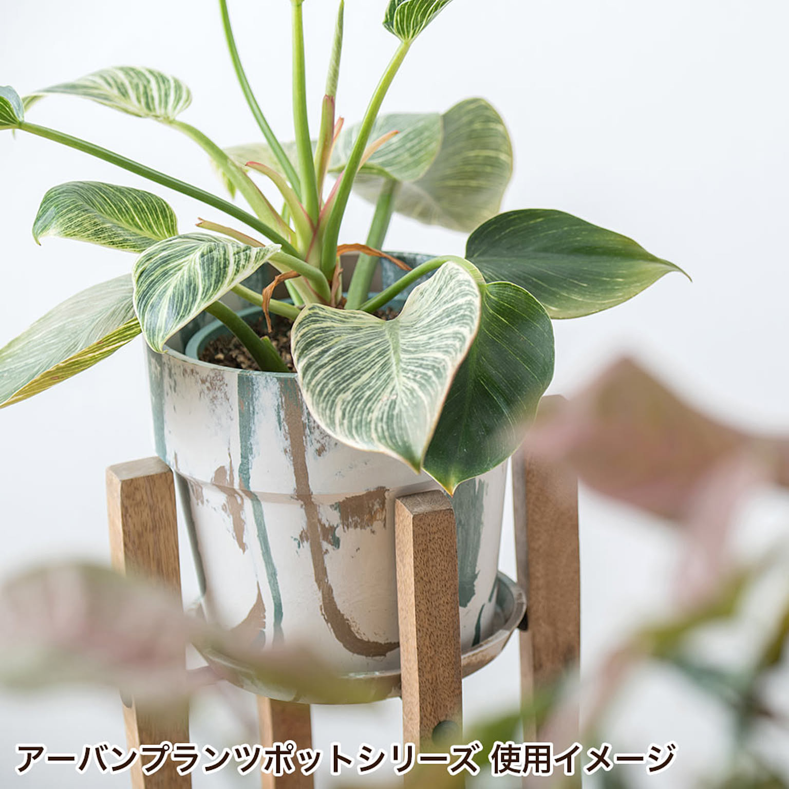 プランター・植木鉢