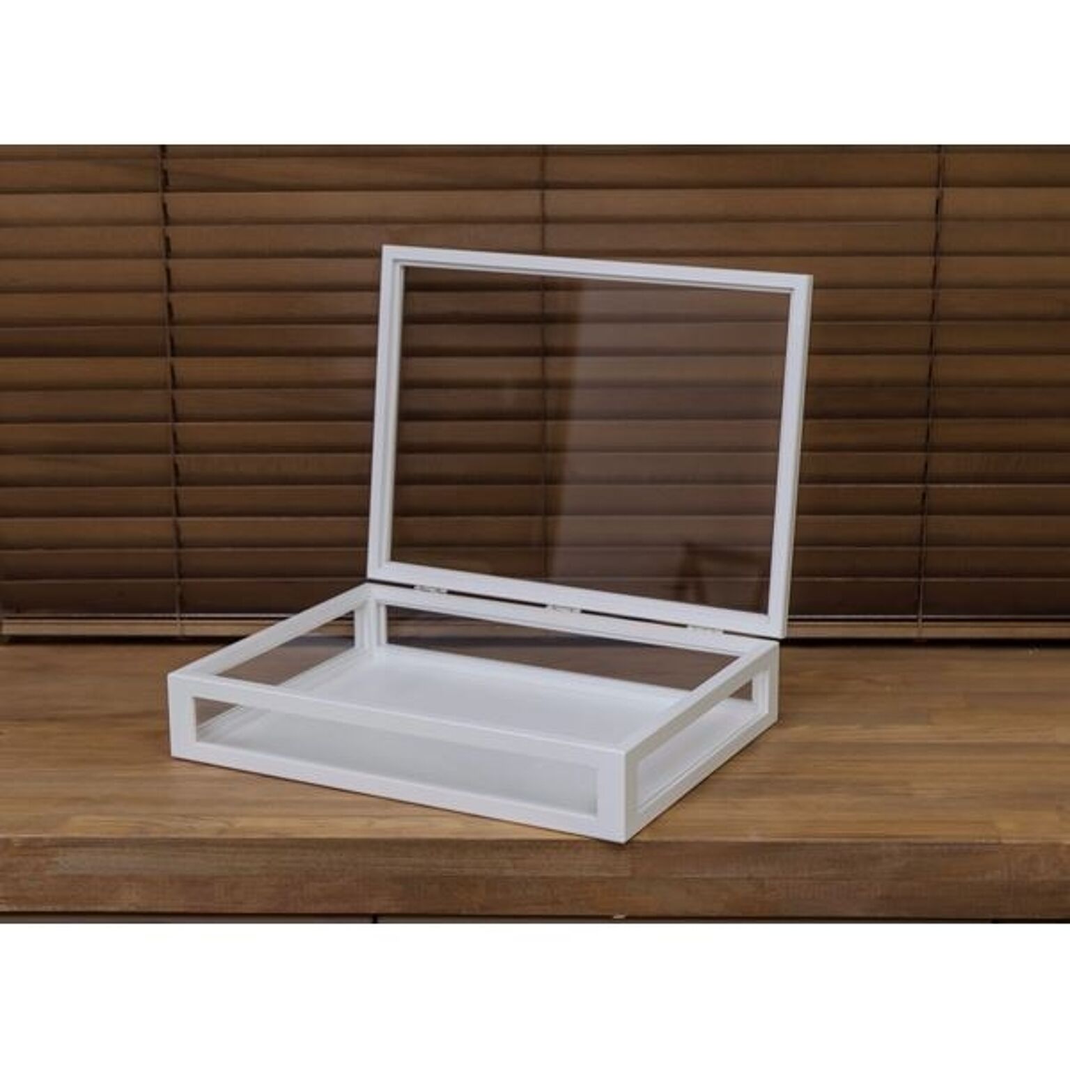 コレクションケース/ディスプレイケース 単品 【大】 幅40cm 木製フレーム ガラス製 ホワイト(白) 【完成品】