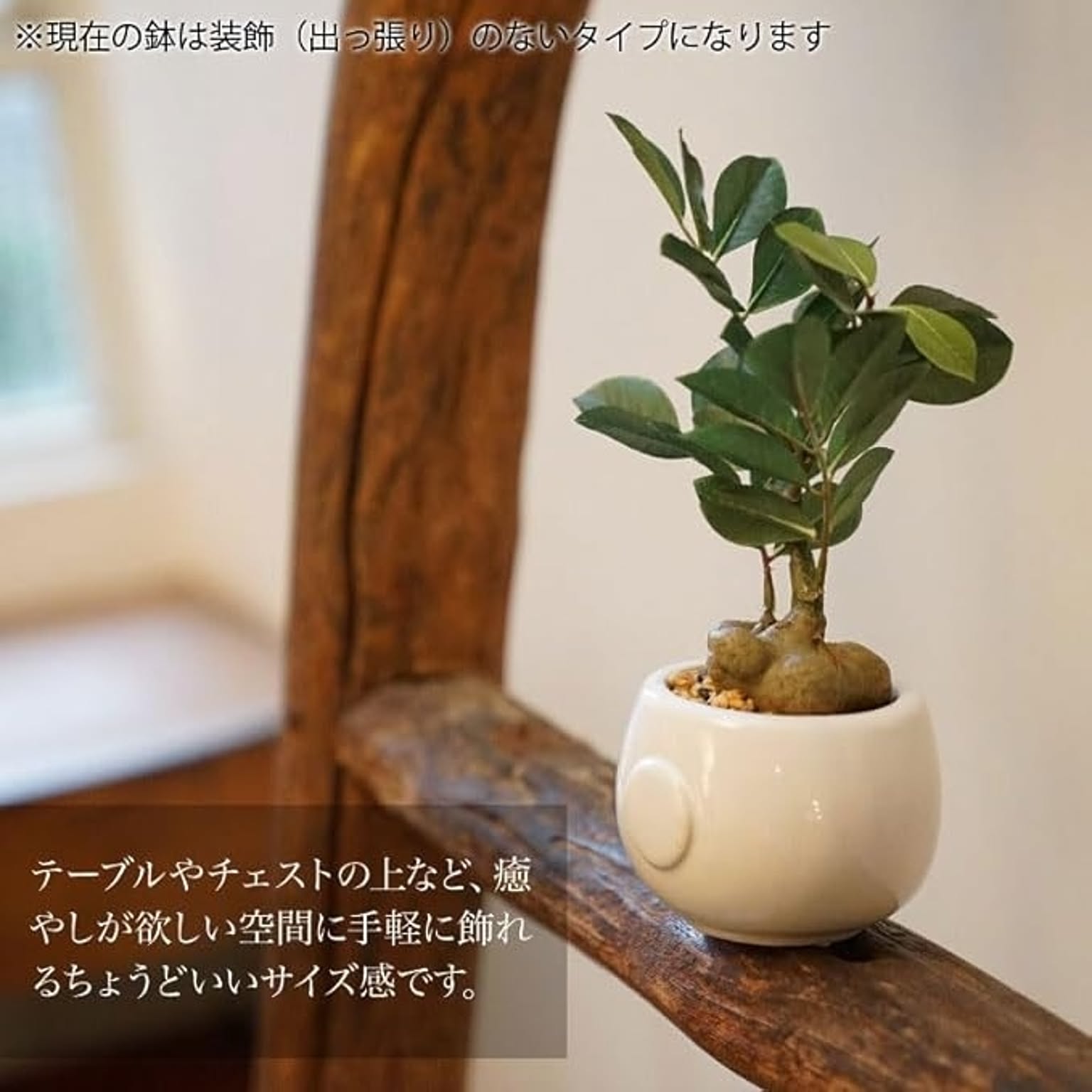 フェイクグリーン