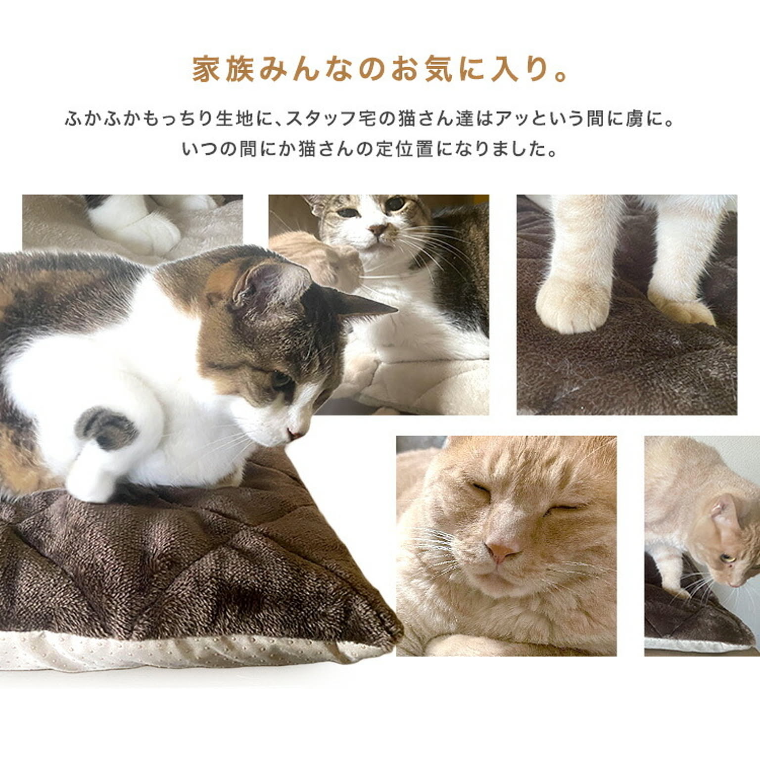 ラグ