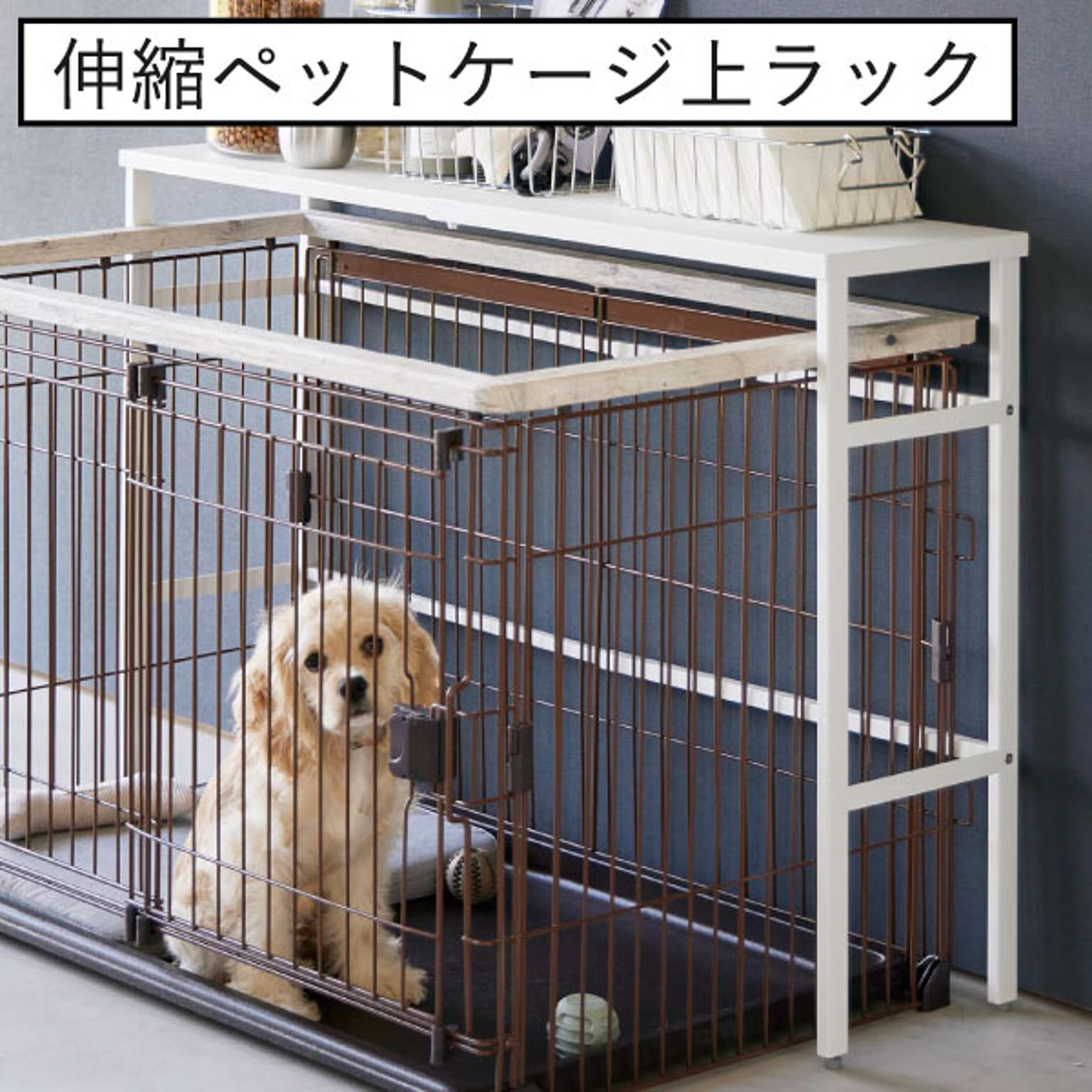 犬用インテリア・犬用家具
