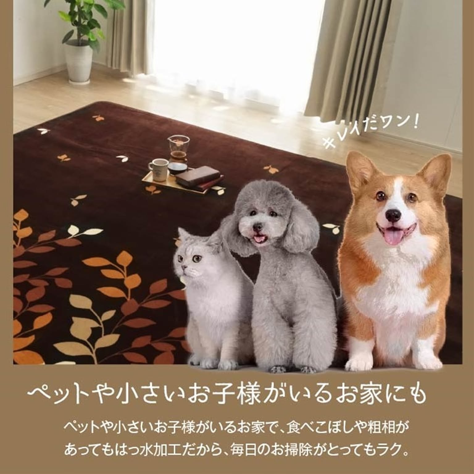 ラグ