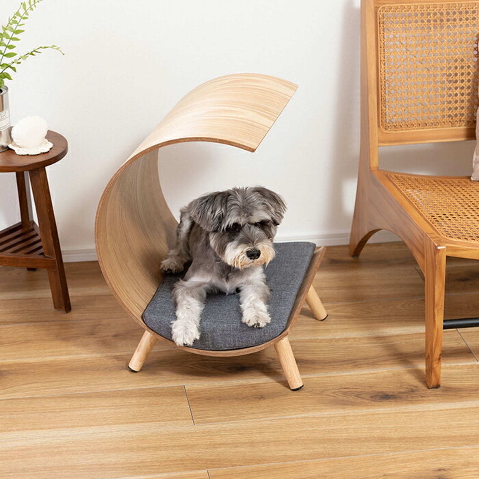 犬用インテリア・犬用家具