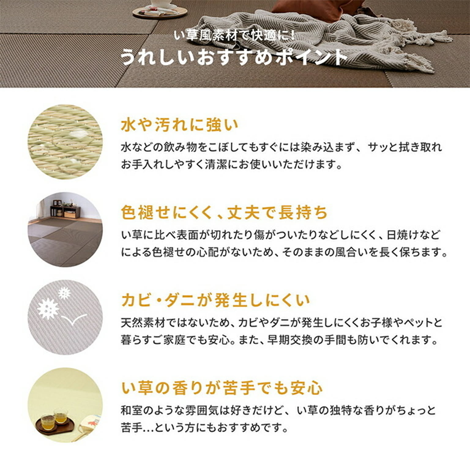 ござ・い草ラグ