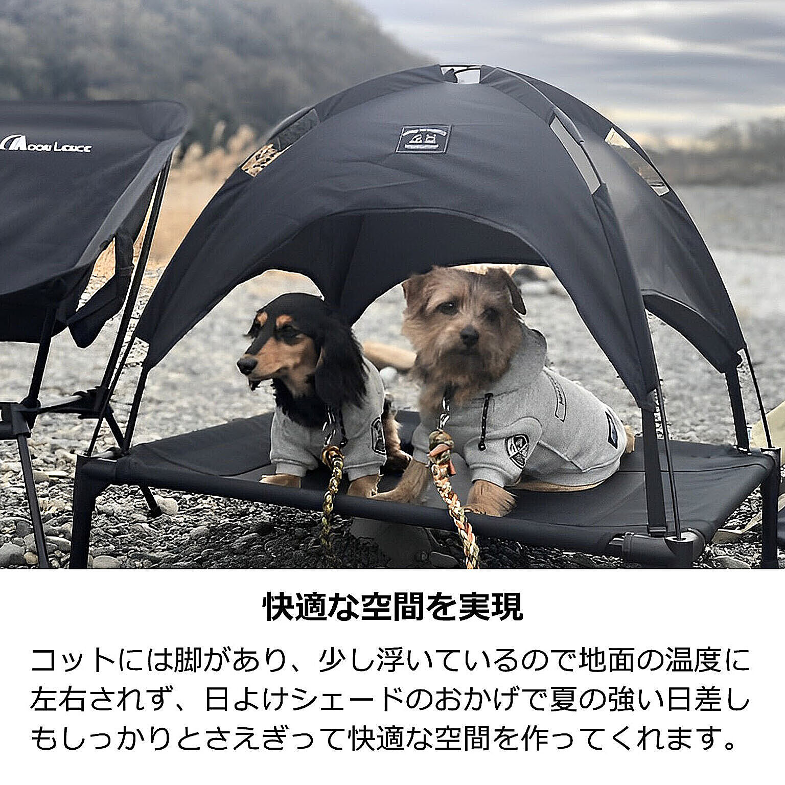 その他の動物のインテリア・その他の動物の家具