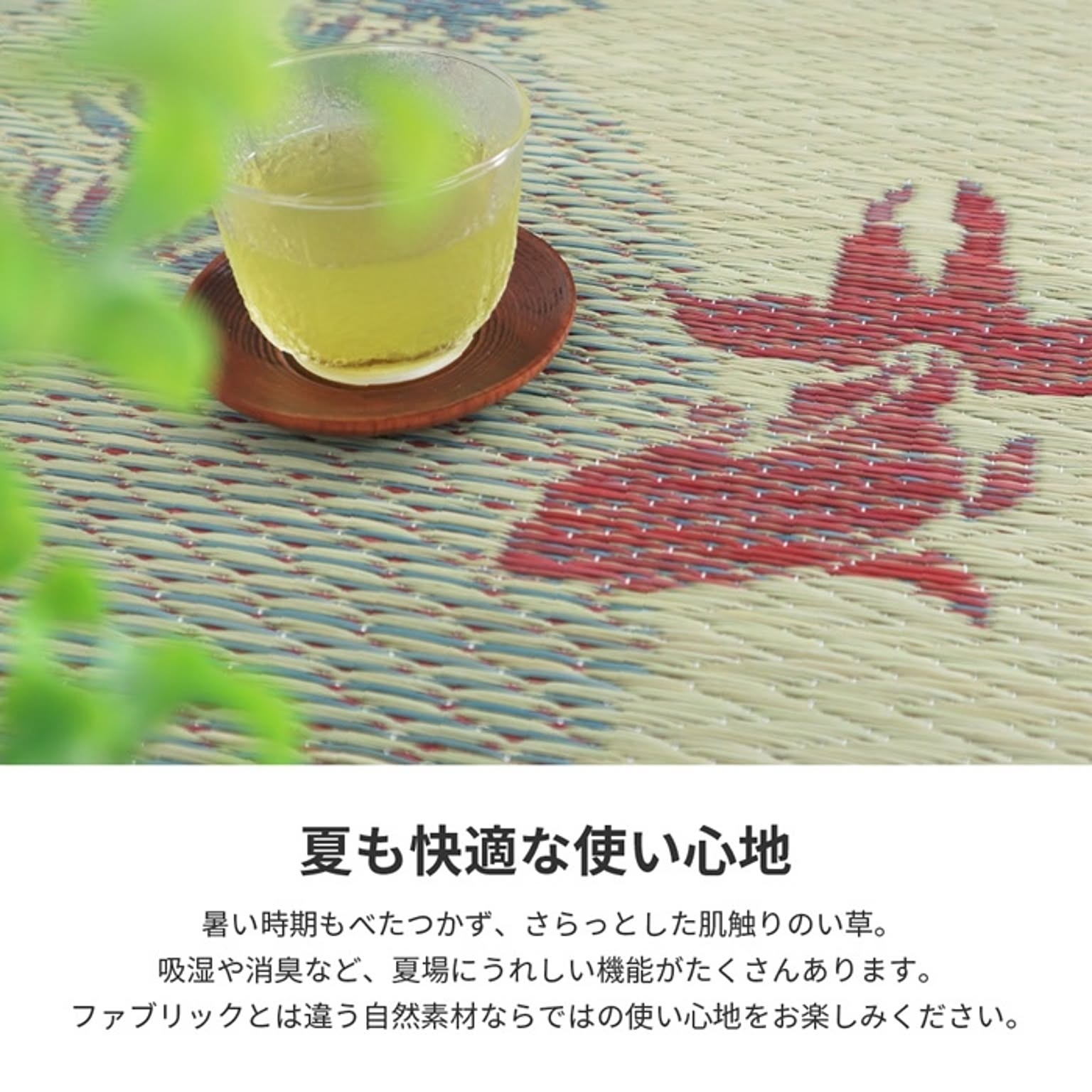 ござ・い草ラグ