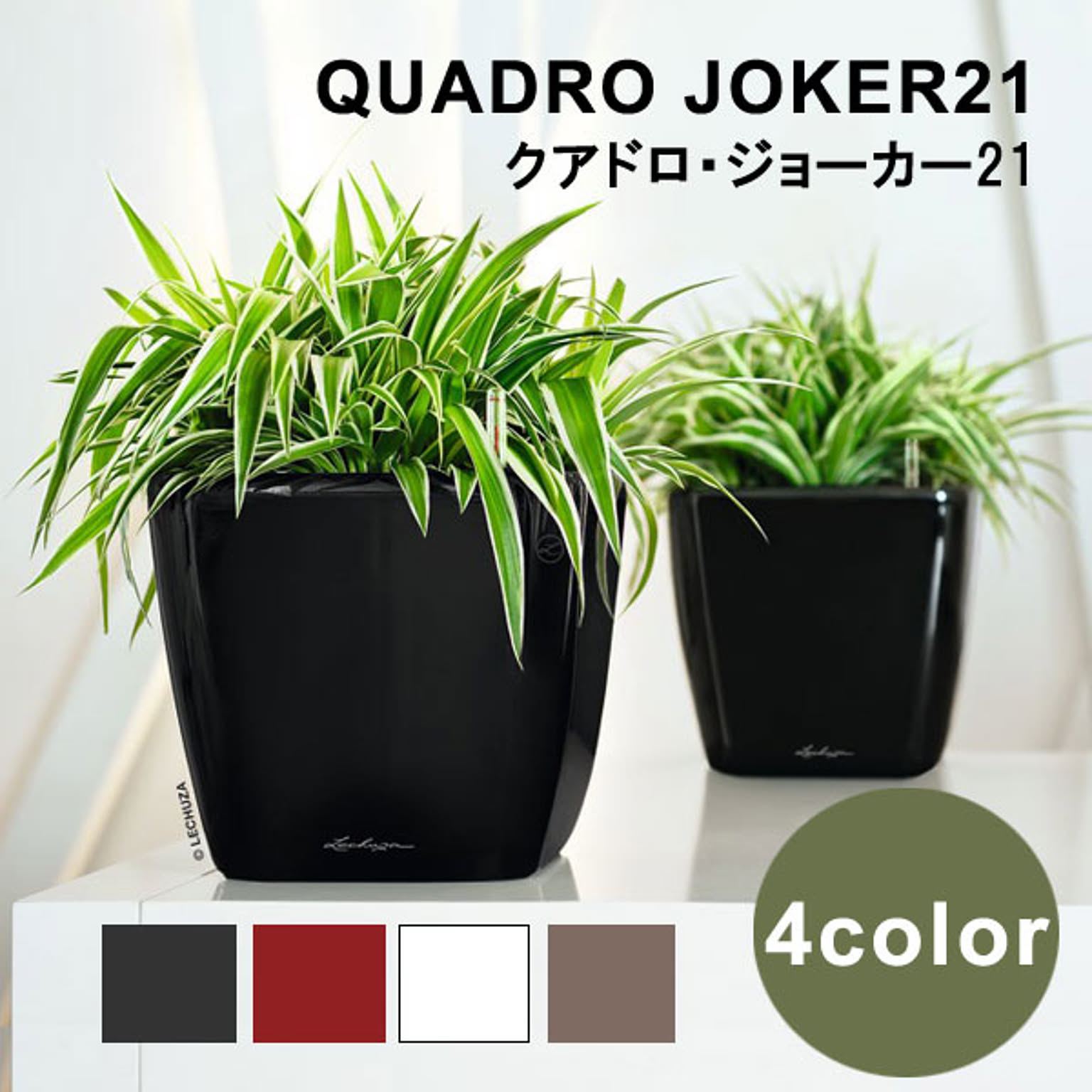 プランター・植木鉢