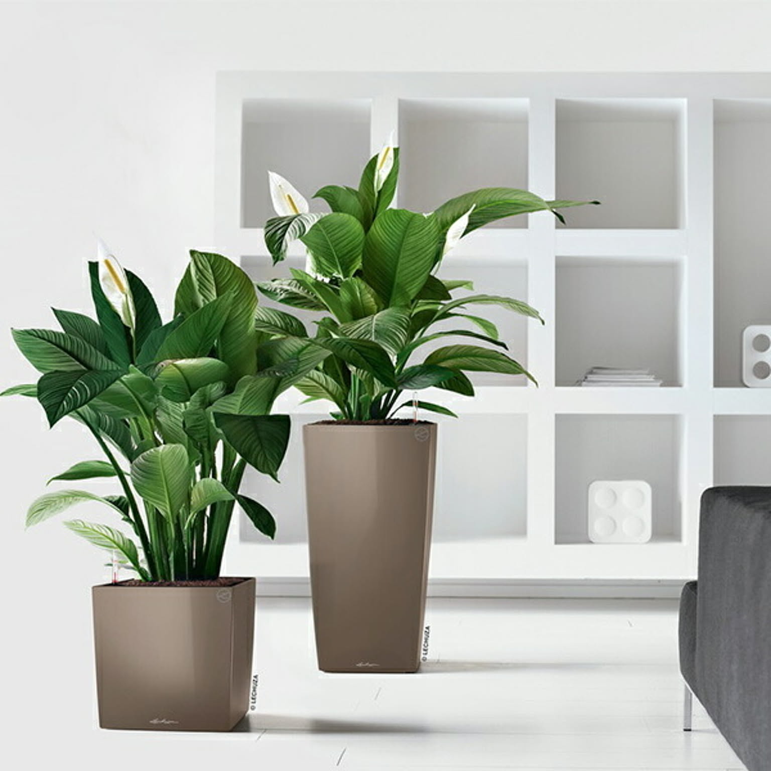 プランター・植木鉢
